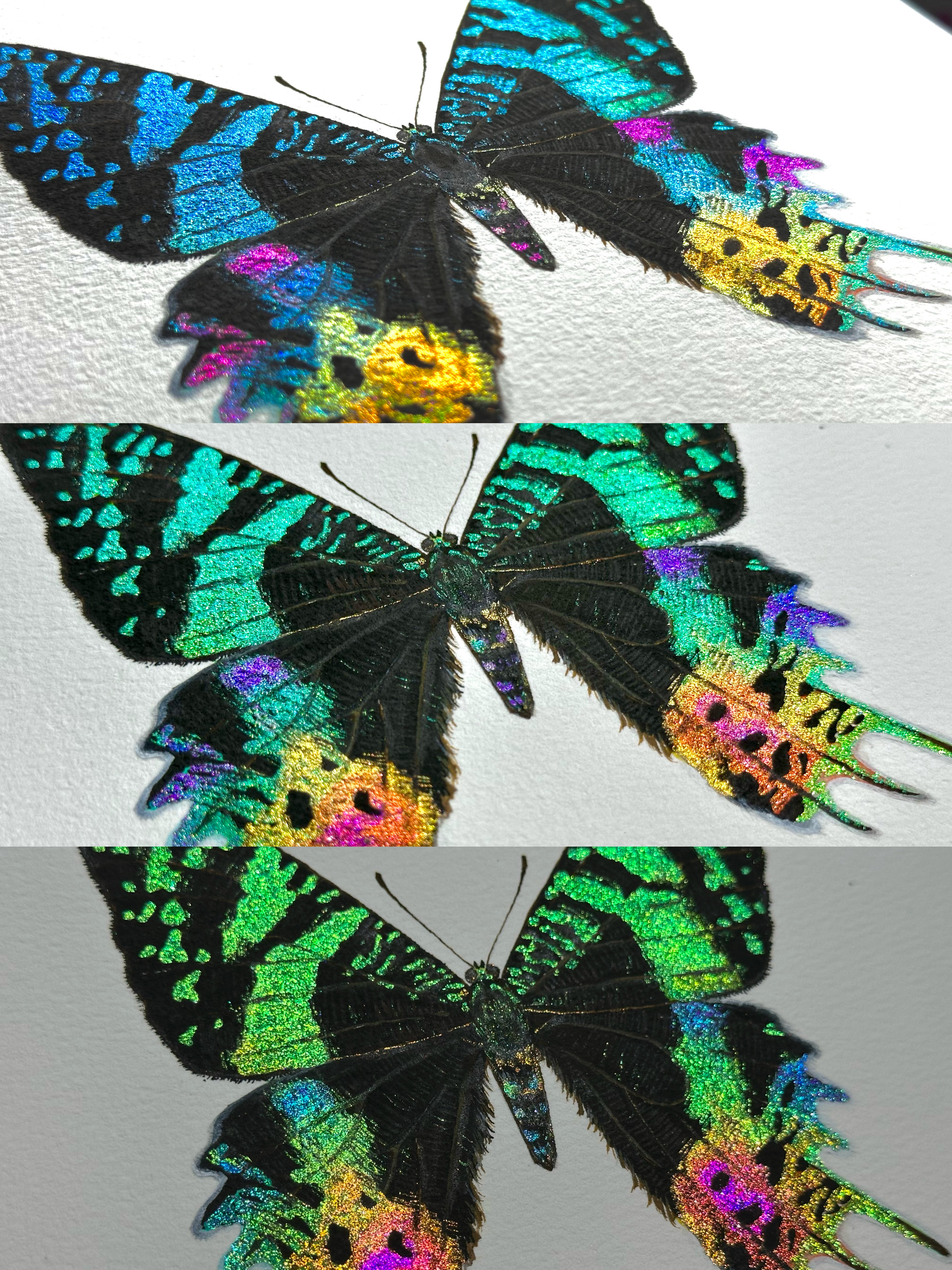 Iridescent Wings